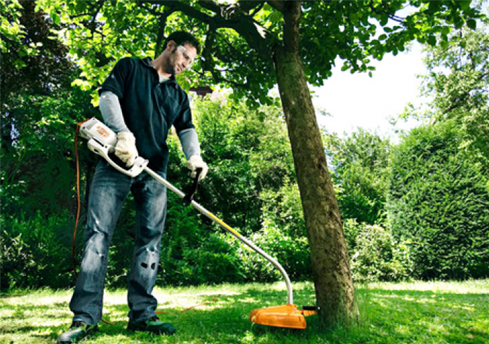  Stihl FSE 60