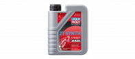   LIQUI MOLY Motorbike 2T Synth Race Street TD 1 3980/21478